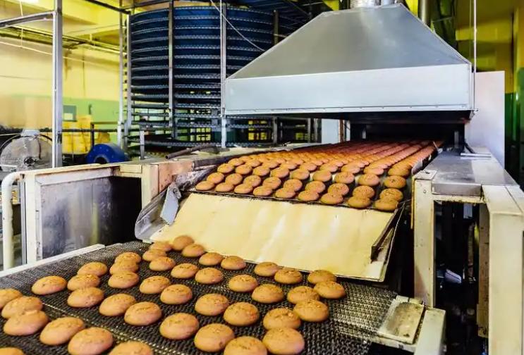 Biscuit production line